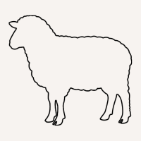 Natural Wool